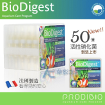 法國 BIO Digest 2019新款 50億活性硝化菌(散裝/單支)